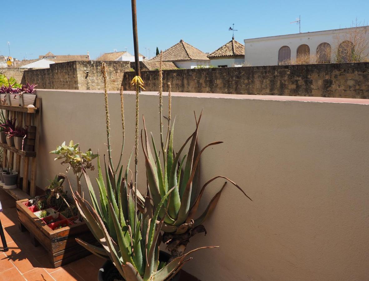 Apartamento En Juderia La Murallita Córdoba Exteriör bild